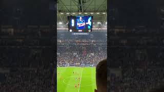 Simon Terodde Tor gg. FSV Mainz LIVE! #bundesliga #s04 #schalke #fcschalke
