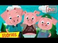 The Tale of the Three Little Piglets