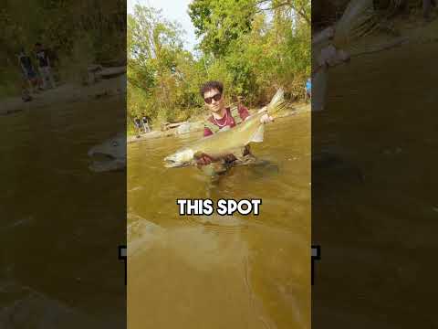 Always Do This While Fishing (PART 2)