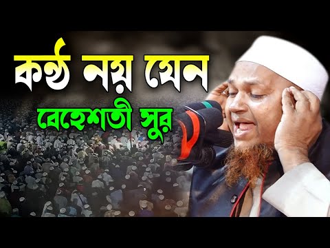 কন্ঠ নয় যেন বেহেশতী সুর। Quran Tilawat Qari Anwar 2025, ক্বারী আনোয়ার কুরআন তেলাওয়াত 2025