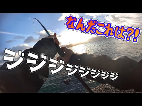 久しぶりの雨が降った後…ソイツは突然喰ってきた【離島生活】