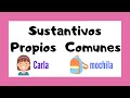 Proper and Common Nouns