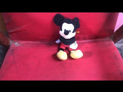 Mickey es capturado por los tigres de Sinaloa (video gor3)