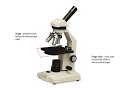Exploring the Parts of a Compound Microscope