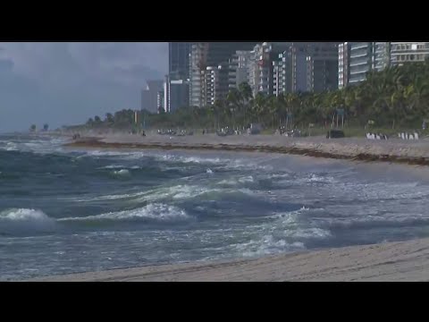 YouTube video thumbnail: High Risk of rip Currents Across South Florida's Coast due to Tropical Depression Nine