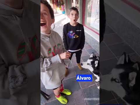 VIRAL: LOS PERROS HABLAN ¡Aquí una prueba!
