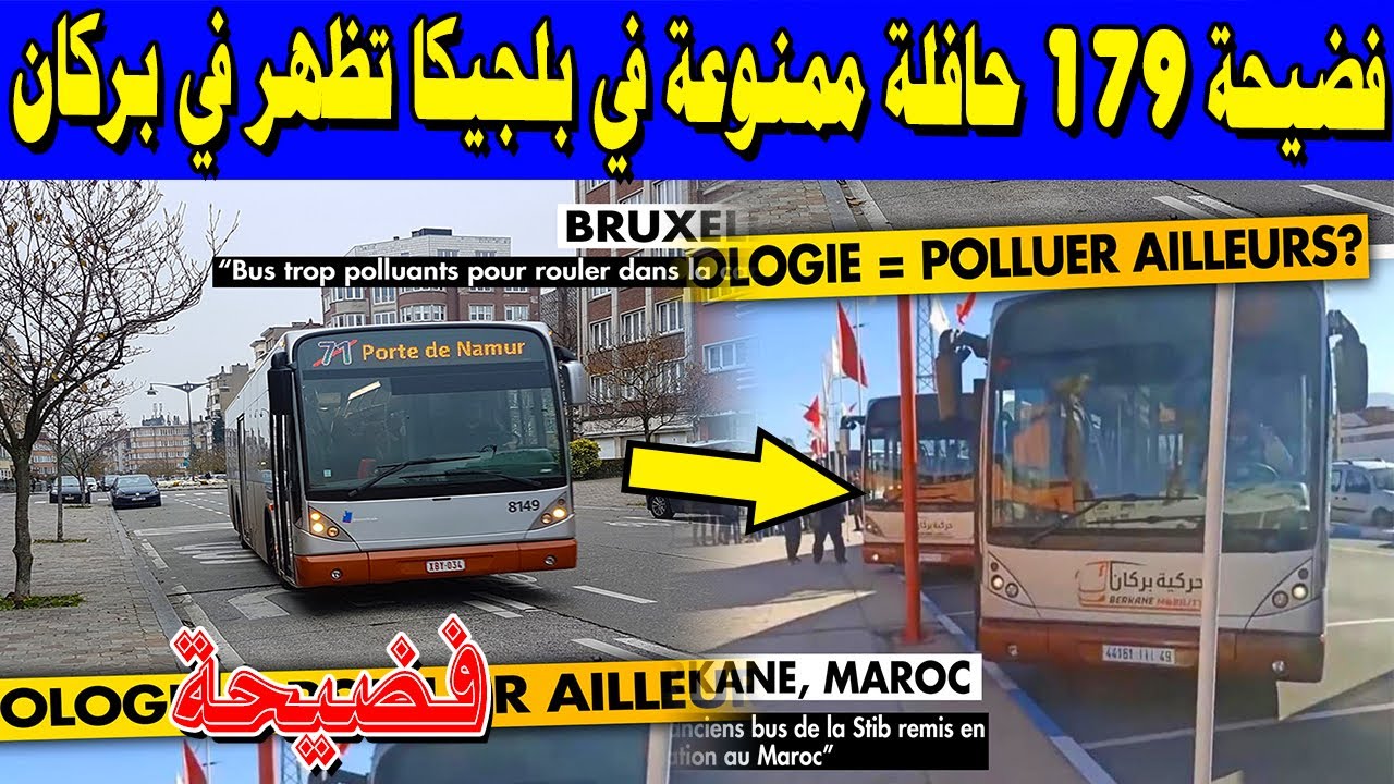 179 حافلة ممنوعة في بلجيكا تظهر في بركان