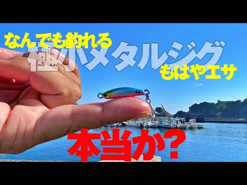魚種不問・もはやエサという話は本当なのか？とあるジグの実釣力を試してみた結果…