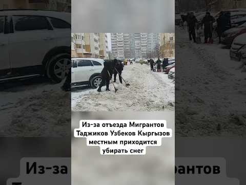 #мигранты #зима #уборка #снег #россия #таджикистан #узбекистан #кыргызстан #мусульмане #русские #сво