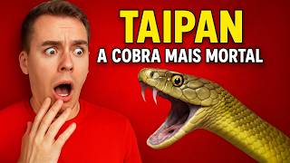 Taipan: A Verdade Chocante Sobre a Serpente Mais Letal do Mundo