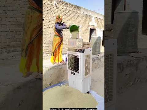 Homemade trick to clean millet😯 #technology #millet