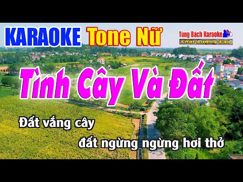 Tình Cây Và Đất Karaoke ( Tone Nữ ) Nhạc Sống Tùng Bách