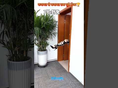 कयामत से कयामत तक पूरी डेंजर🏆😍👌mini wood toy- woodworking art skill/wood hand #shorts
