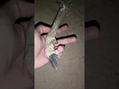 دخلت منطقة ذئاب مفترسة🐺!