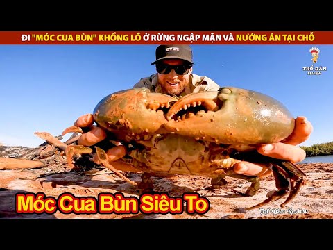 Đi "Móc Cua Bùn" Khổng Lồ Ở Rừng Ngập Mặn Và Nướng Ăn Tại Chỗ Luôn | Review Giải Trí Đời Sống