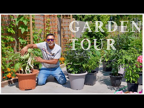 JULY GARDEN TOUR! ABUNDANCE OF DESHI VEGETABLES