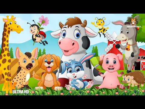 Lovely Animal Moments: Horse, Jellyfish, Impala, Bat, Bittern, Bee, Buffalo - Animal Video