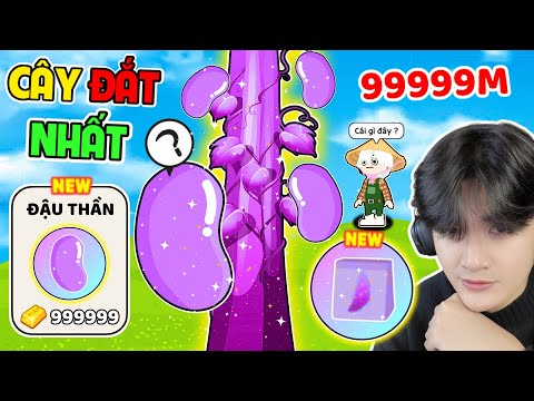 BEDY HOẢNG HỐT TRỒNG ĐƯỢC C.ÂY ĐẮT TI.ỀN NHẤT GAME TRONG MAP NÔNG TRẠI MỚI | PLAY TOGETHER