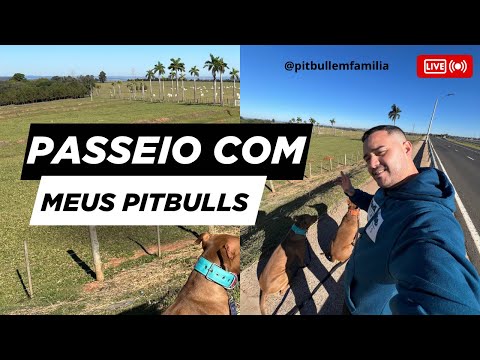 VLOG DE PASSEIO COM O THOR E A JADE 🐶 #assista