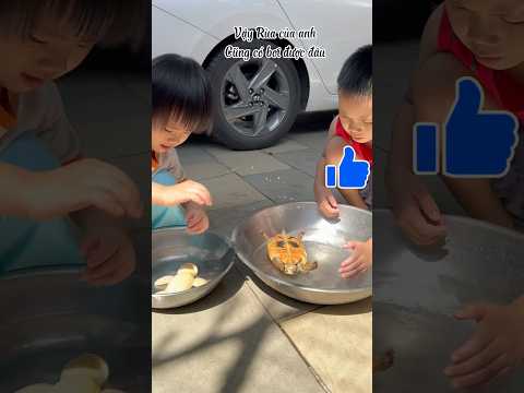 Cuộc chiến Rùa của ai biết bơi#shortsvideo