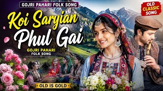 Koi Saryian Phul Gai Hai 🌺 | Traditional Gojri Pahari Folk Song | HD Audio