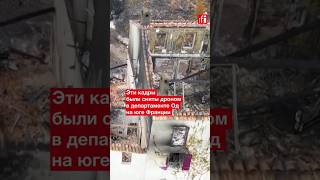 Сгоревшие леса и виноградники, уничтоженные огнем дома: последствия лесных пожаров на юге Франции