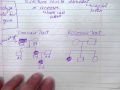 Genetics and Pedigree Concepts