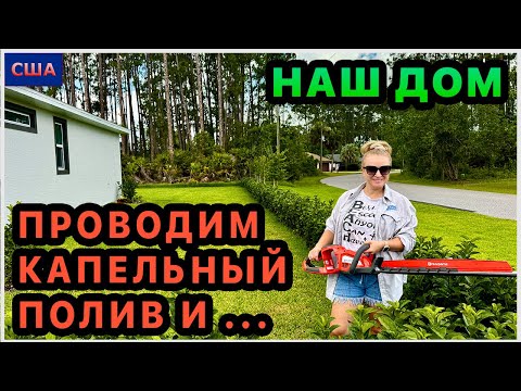 Провели капельный полив. Стрижем кусты первый раз. Кусторез из распаковки супер👍Последние новости