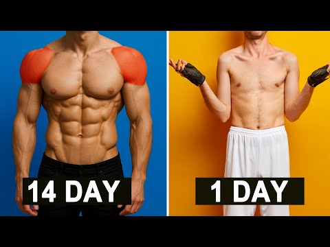 5 BEST Shoulder Exercises | Pump Up Your Shoulders | No Equipment Home Workout