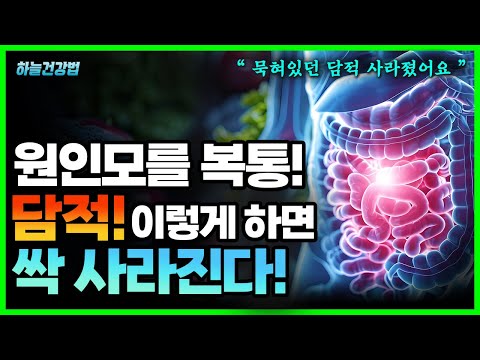 이유없이 배 아플때? 원인은 담적병! 담적 없애는 쉽고 빠른 해결 방법! 담적 없애는 과정, 기간