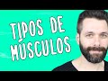 Tipos e Funções dos Músculos