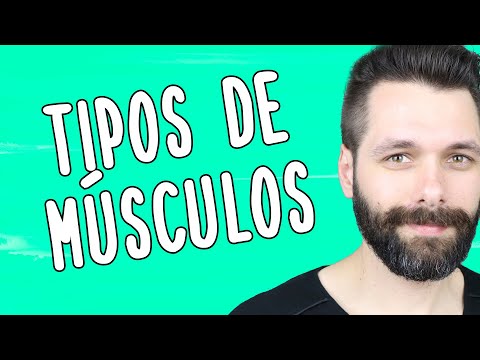 TIPOS DE MÚSCULOS - Resumo de Tecido Muscular | Biologia com Samuel Cunha