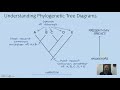 DNA Hybridization and Evolutionary Relationships