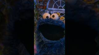 The Biggest Bowl of Spaghetti Ever! 🍝 #sesamestreet