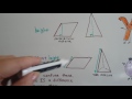 Height and Slant Height Concepts