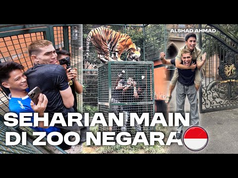 SEHARIAN MAIN KE ZOO DI BANDUNG | ALSHAD GAK KASIHAN SAMA AKU !!!