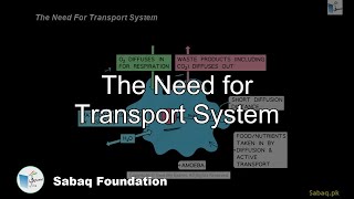 The Need for Transport System