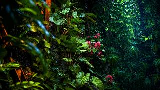 Rainfall on Forest Foliage | Rainstorm Sounds for Sleeping | Best Forest Rain Sounds, Relax ASMR