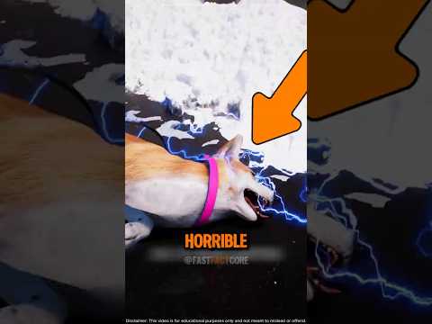 These Dangers Dogs Face Are Insane… and the Last One Is Messed Up