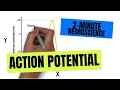 Understanding Action Potential in Neurons