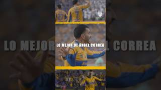🪄⚽️ ¡Revive la magia y la calidad de nuestro Campeón del Mundo!