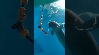 Deep blue sea