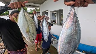 Napalaban Na Mga Bagong Bangka Namin!