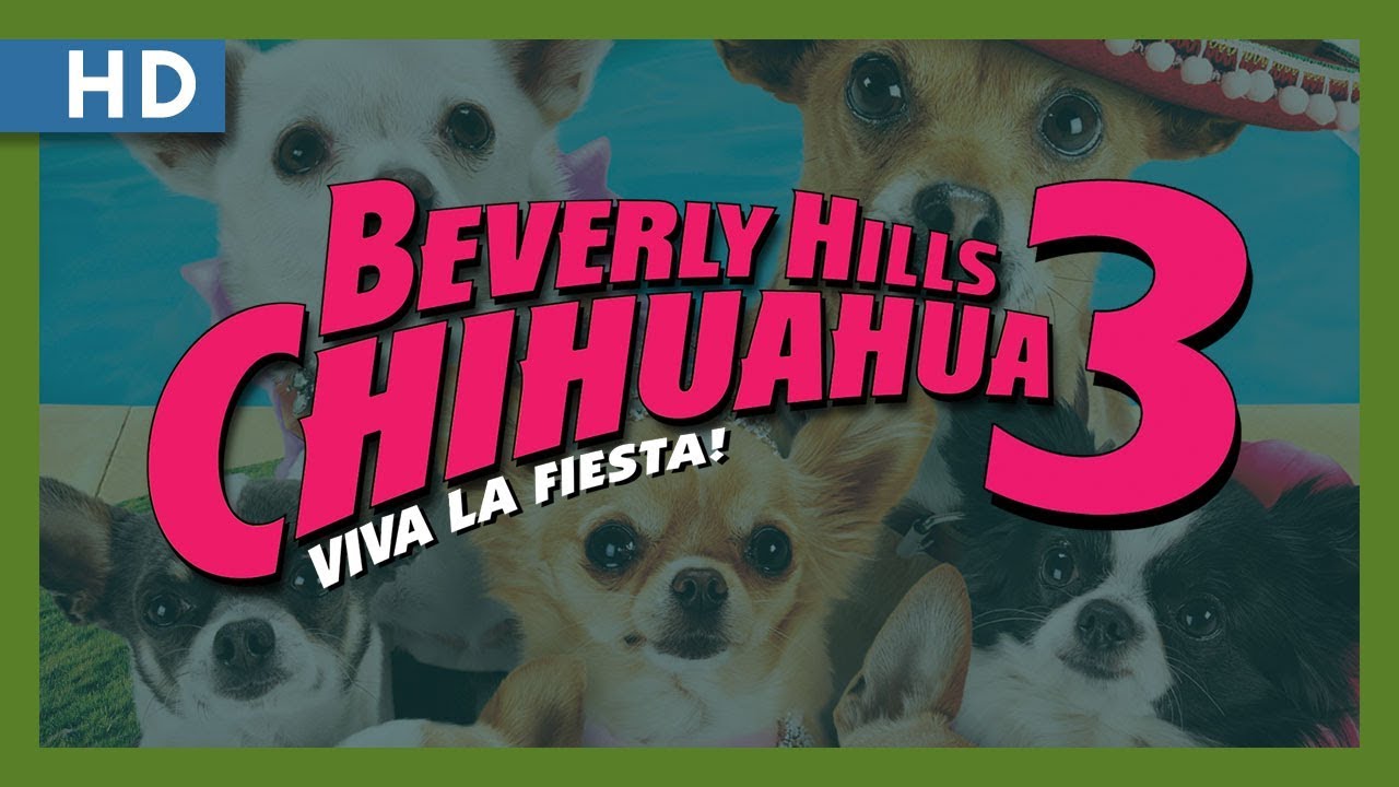 Beverly Hills Chihuahua 3: Viva la Fiesta! Anonso santrauka