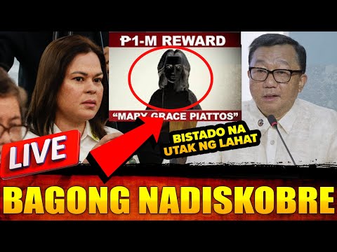 KADUDA-DUDANG TAUHANG NG OVP. Quadcom may mga nabong Nadiskubre sa OVP Confidential Funds!