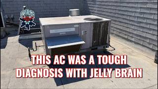 THIS AC WAS A TOUGH DIAGNOSIS WITH JELLY BRAIN