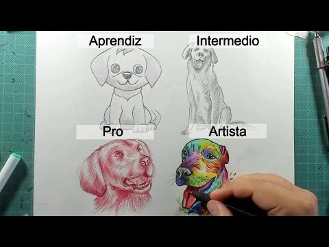 Cómo Dibujar un Perro Paso a Paso ✍️