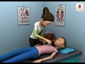 Understanding the Circulatory System