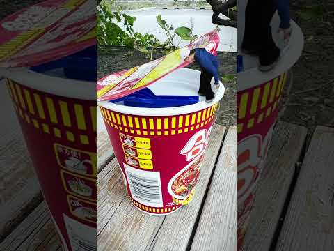 Can I swim in a giant instant noodle? Brain-opening, stress-relieving, interesting, what is this