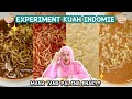 Indomie Cooking Experiment Insights